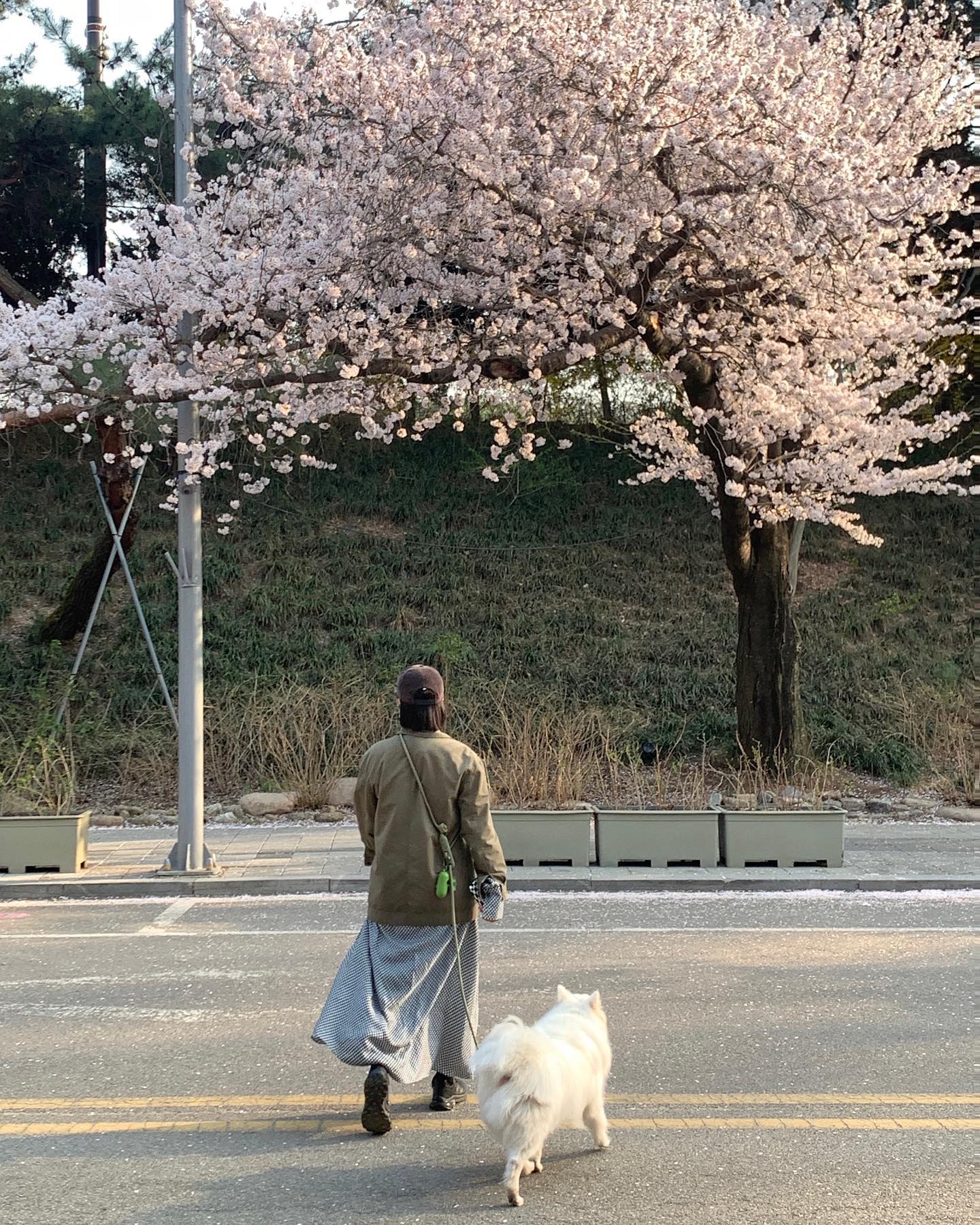 따스한 봄날..🐝
