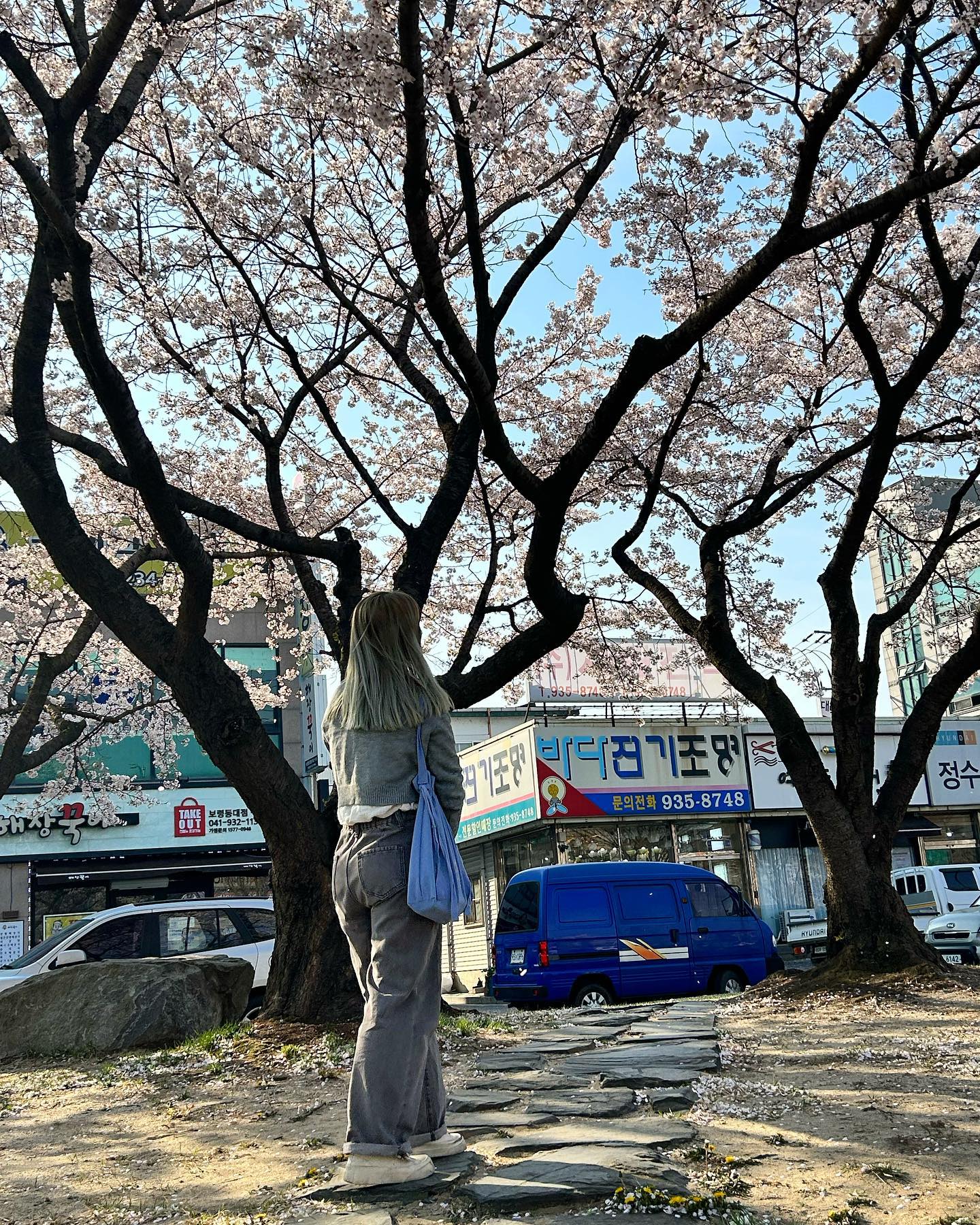 🌸