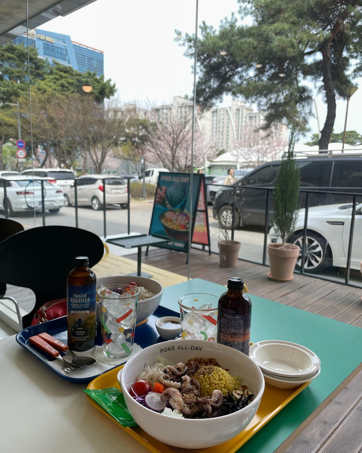 포케의 인연:)