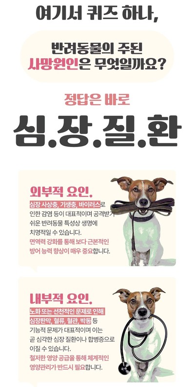 [강아지 영양제] 댕이수랏간-침향 심장튼튼