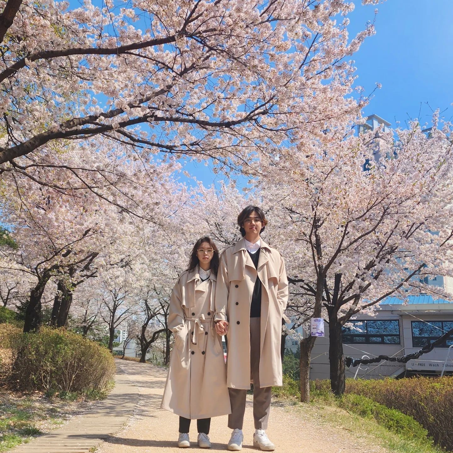#뿡빵그램 #벚꽃 #🌸 

이번 주에 비가 온다는 소식에 저번 주말이 마지막 기회다 싶어서 호다닥 시밀러룩 맞춰입고 벚꽃보러 다녀왔어요🌸🌸

사실 사진 편집할 것들이 많이 남아서 조금 더 기다리다가 업로드 하려고했는데 사진이 너무 예뻐서 기다릴수가 없었어요ʕ•̀ω•́ʔ✧

가장 먼저 올리고싶었던 메인 사진을 시작으로 뿡빵커플 #봄꽃 데이트 시작합니다🌸🌼