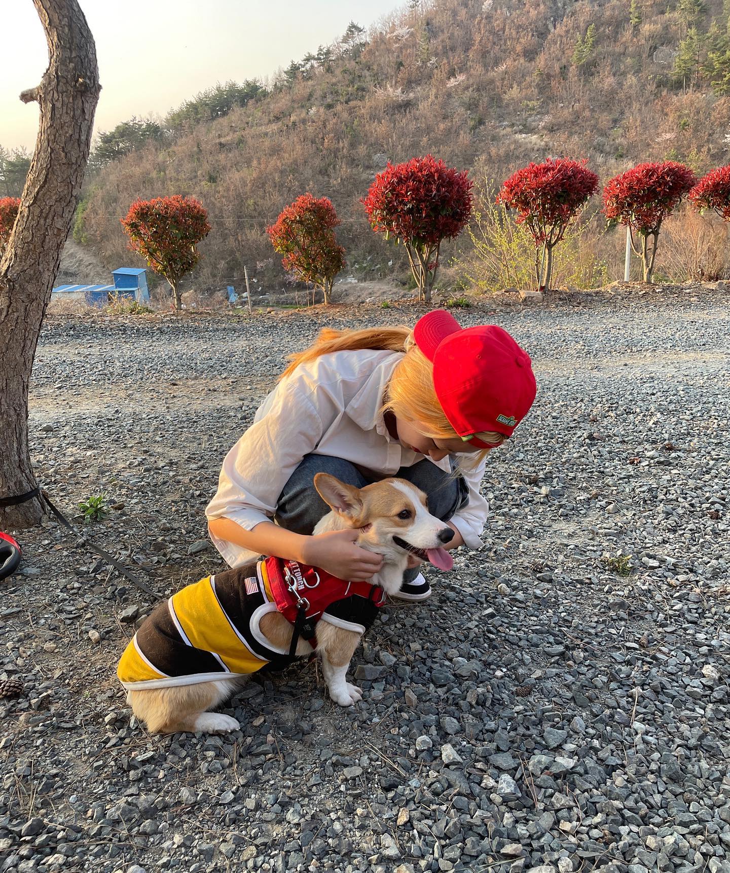 냐옹