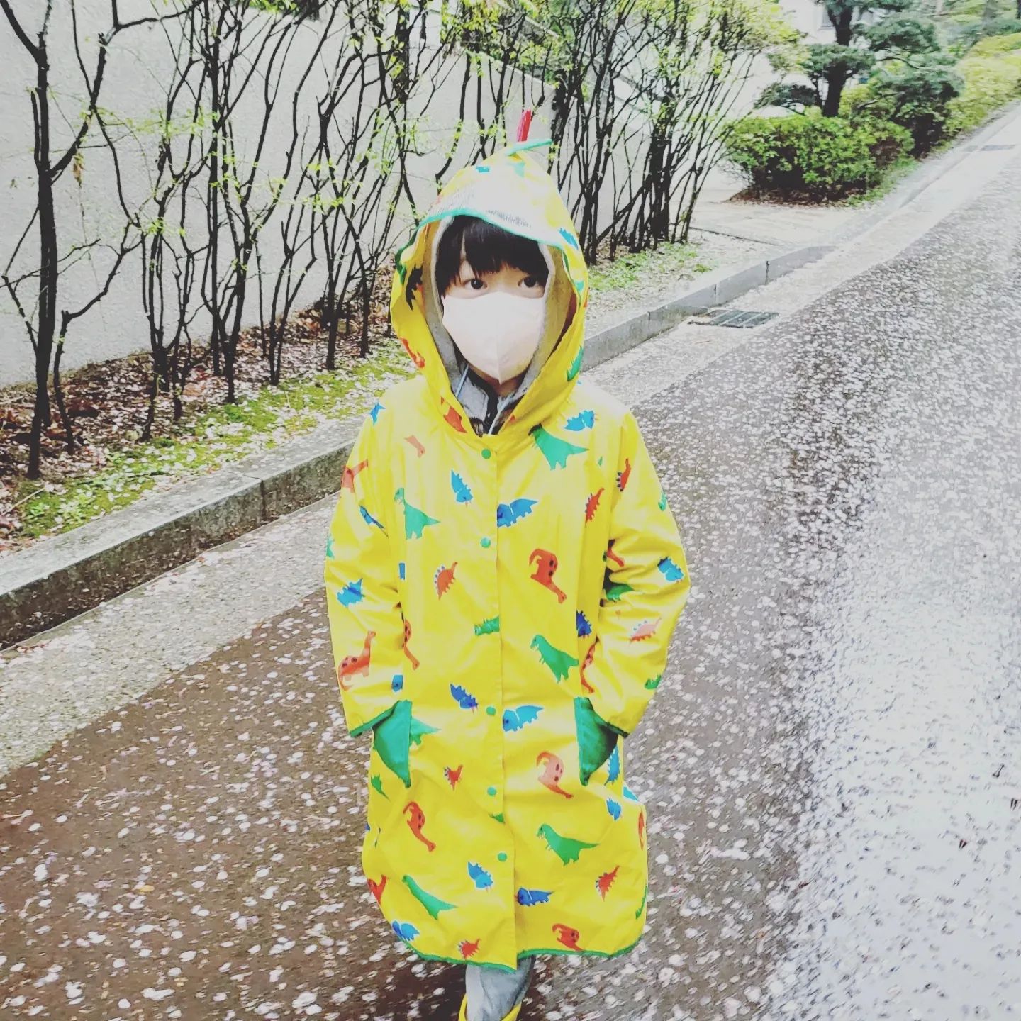 #비오는날 등굣길
#이제한달 시간잘간다.
익숙한 학교생활 
재미는 있지만 금요일만 기다리는중
비와서 너는 좋고
나는 싫고
#비오는수요일
#노란우비
#노란장화
#핑크거리
#진정한꽃
#우리집강아지 가는길도 #언제나꽃길
#우리집막내아들
#1학년