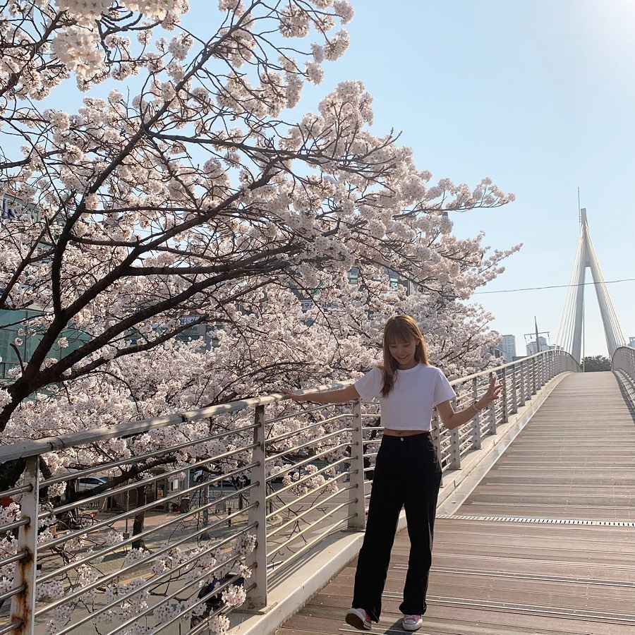 🌸..☔️
#벚꽃엔딩