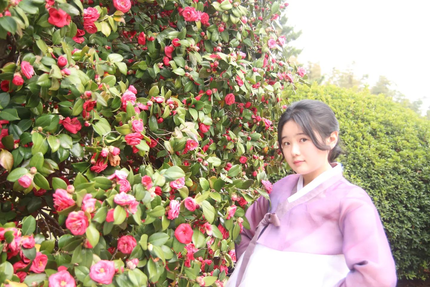 한복스냅도 좋아해요 🌺

📷 : 캐논 eos 100d + 탐론 17-55

#인물사진 #캐논 #캐논100d #풍경 #탐론1750 #탐론 #좋반 #fff #맞팔 #선팔 #선팔하면맞팔 #동서대 #부산 #온천천 #좋아요반사 #50mmf18 #캐논1855mm #벚꽃 #스냅사진 #사진 #사진계정맞팔 #사진스타그램
