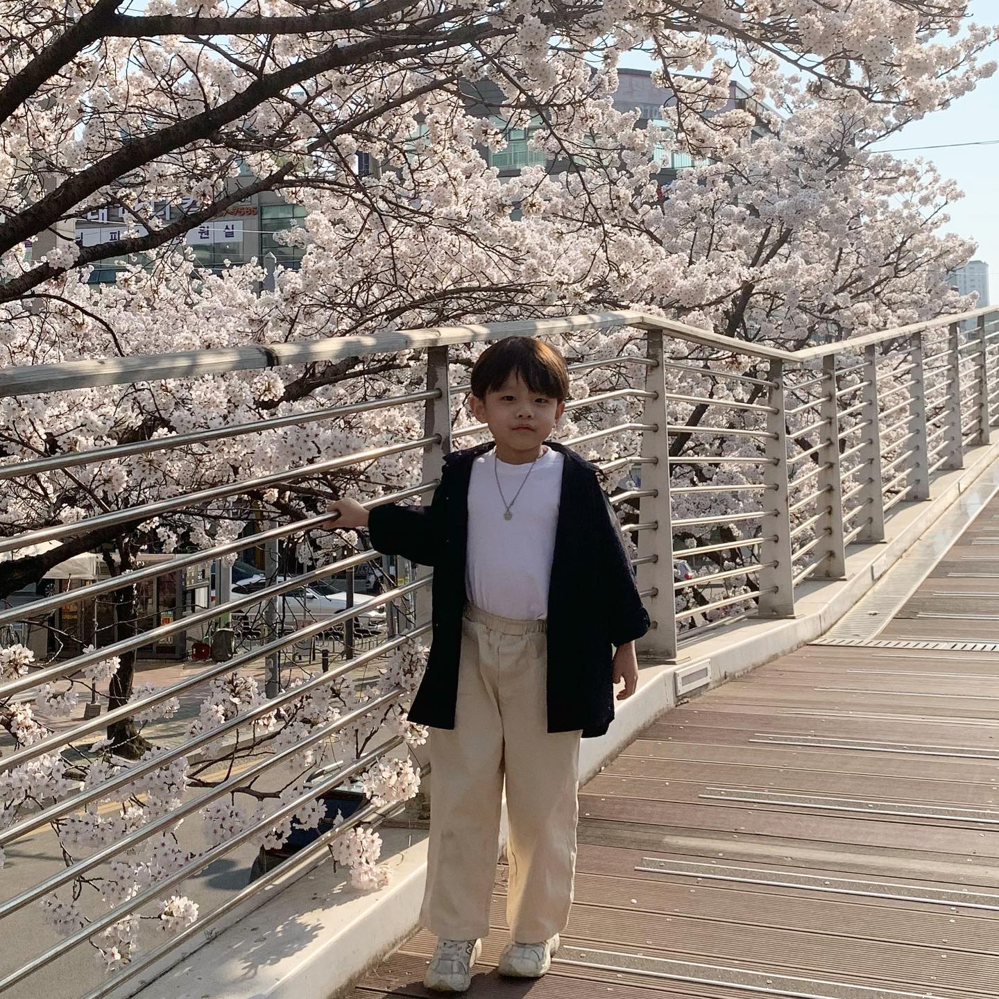 쭌🌸💓