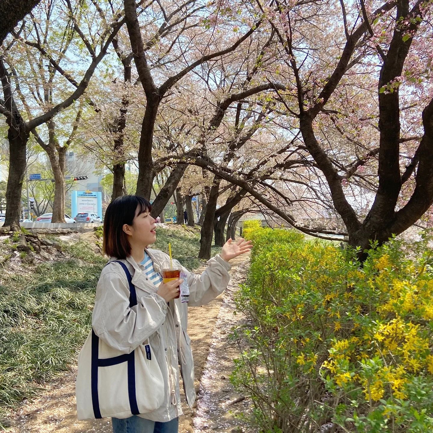 봄꽃 향에 활력 충전🌸