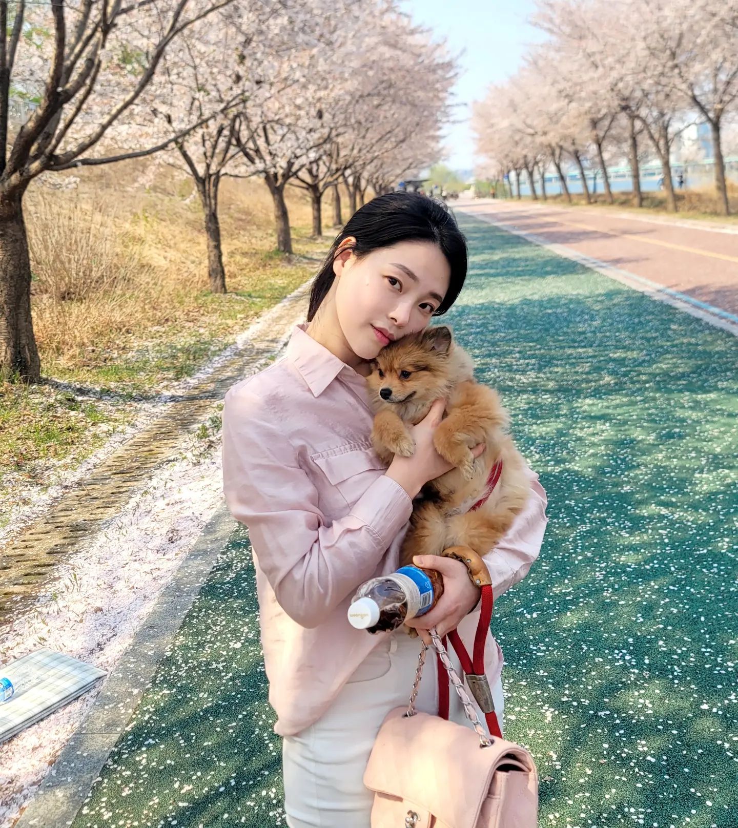올해는 더 너무 짧게 본 거 같은 벛꽃🌸🌸🌸
내년엔 밤에 보러가쟝🩷
hwi__jjang