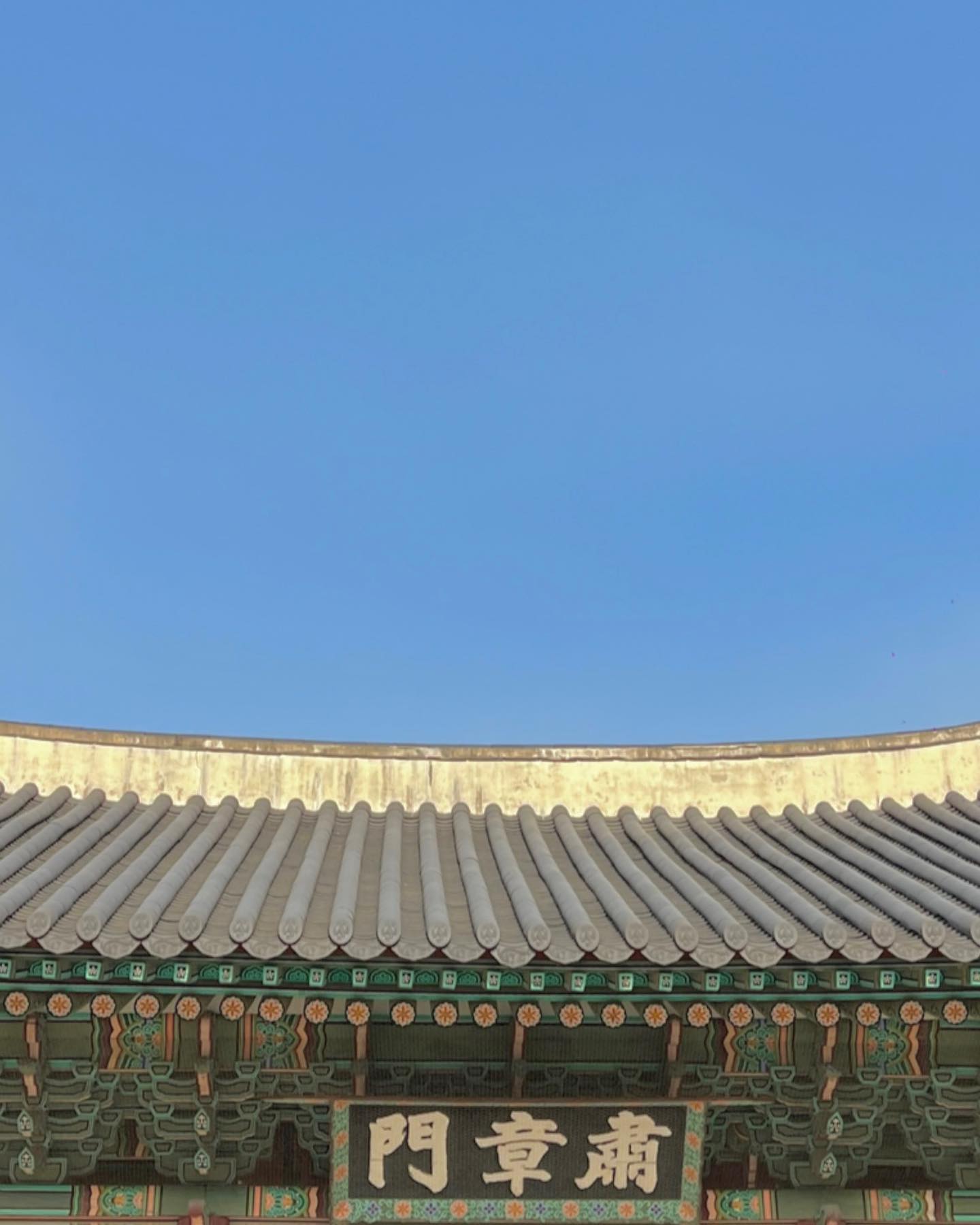 콘텐츠