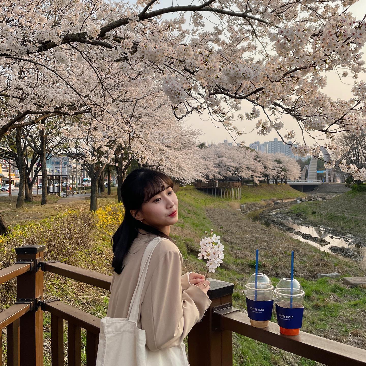 이제 벚꽃 없도라 … 🥹
.
.
.
#20230328 #스물셋 #대학생 #벚꽃 #dailylook