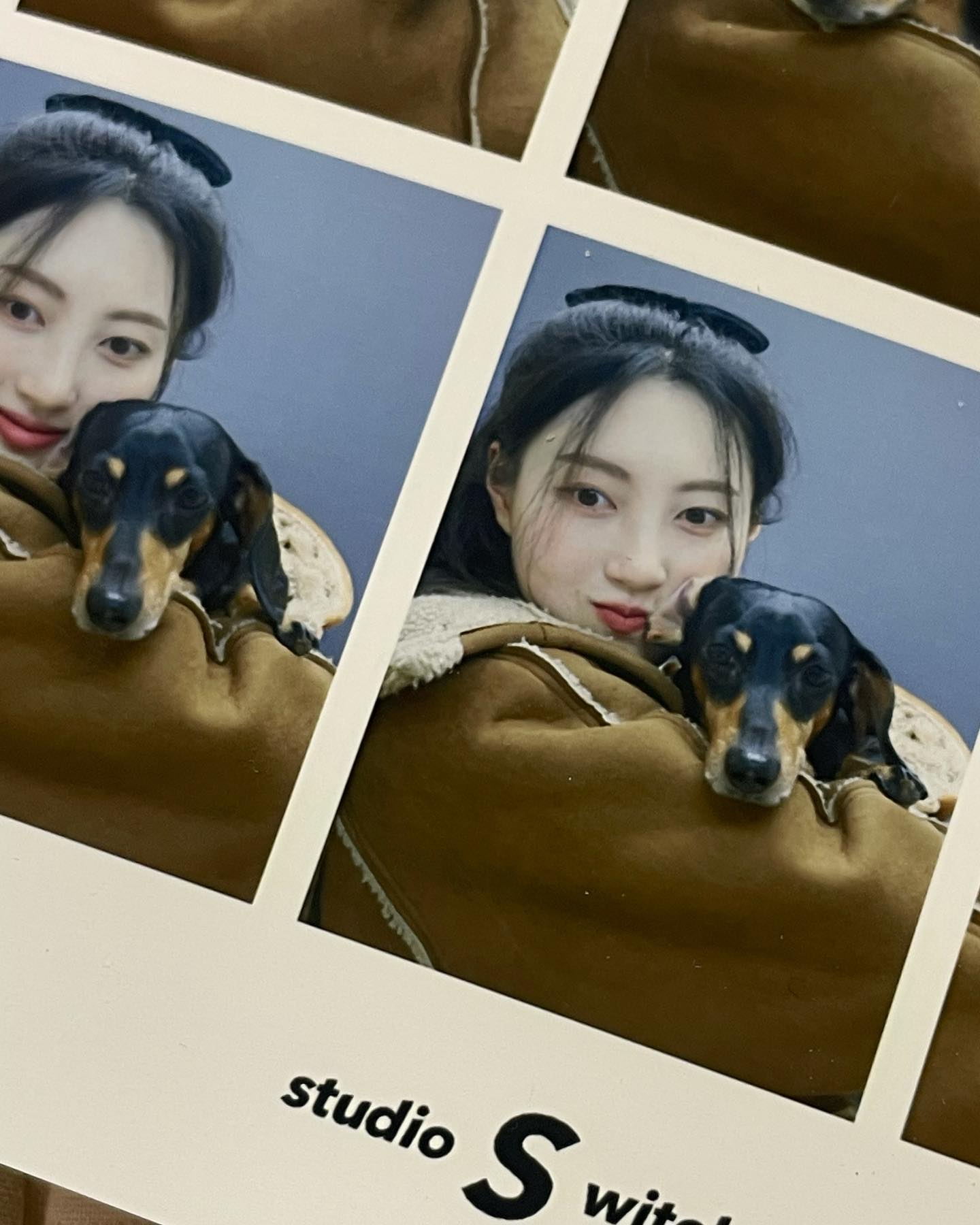 김콩이 바보🐶