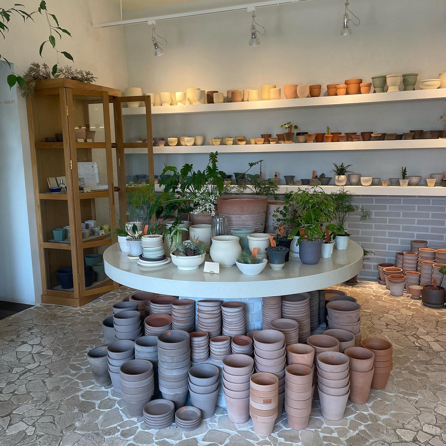 마음에 쏙 🌱
식물 키우고 싶은 욕구 뿜뿜하게 만드는 카페, 식물에 진심인 곳 ! 
 
서귀포가시면 추천합니다 🤍

 
 
/
#식물집 #꼬밀레_제주