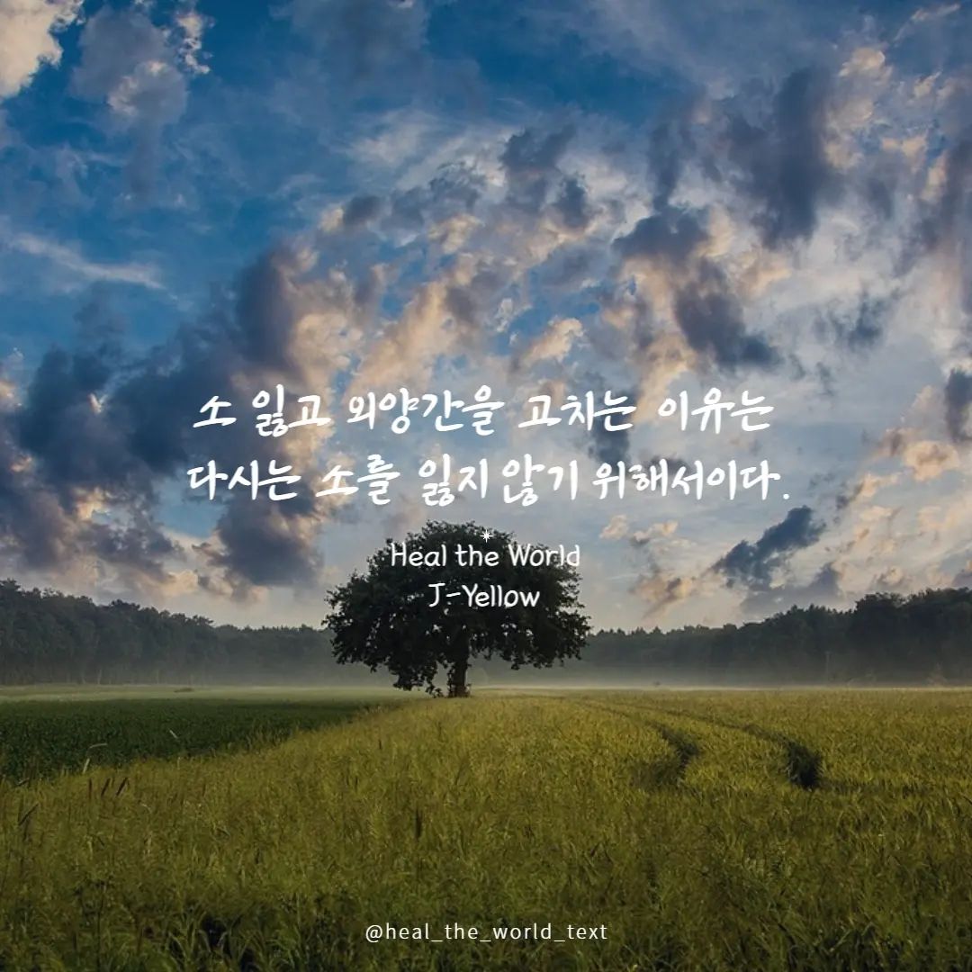 소 잃고 외양간을 고쳐야 하는 이유는,
다시는 소를 잃지 않기 위해서다.

애초에 튼튼한 외양간을 짓는게 가장 좋겠지만,
사소한 실수로 소를 잃었다면,
소를 잃어버렸다는 사실에 망연자실하기보다,
다시는 소를 잃어버리지 않기 위해 외양간을 고치자.

역설적이게도 인간은
성공보다 실패를 통해 더욱 성장한다.

더글로리 대사처럼,
문제를 해결하는 방법은
늘 뒤가 아닌 앞에 있다.

#속담 #소잃고외양간고치기 #명언 #명언글귀 
#동기부여글귀 #동기부여 #관점의차이 
#성장일기 #좋은글 #좋은생각 #하루한번 
#더글로리명대사 #홍영애 #문제해결 #힘내자