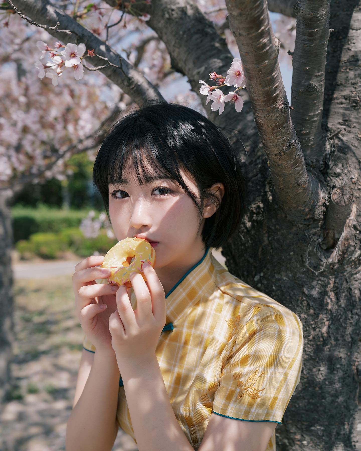 🌸🍩