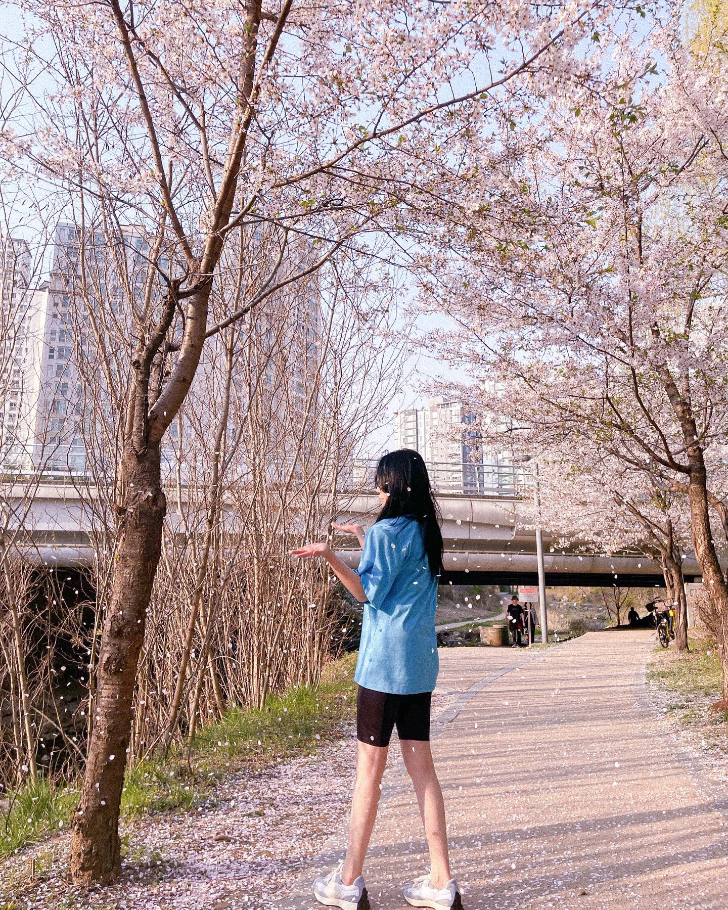 나이가 들수록 꽃이 조하 🌸