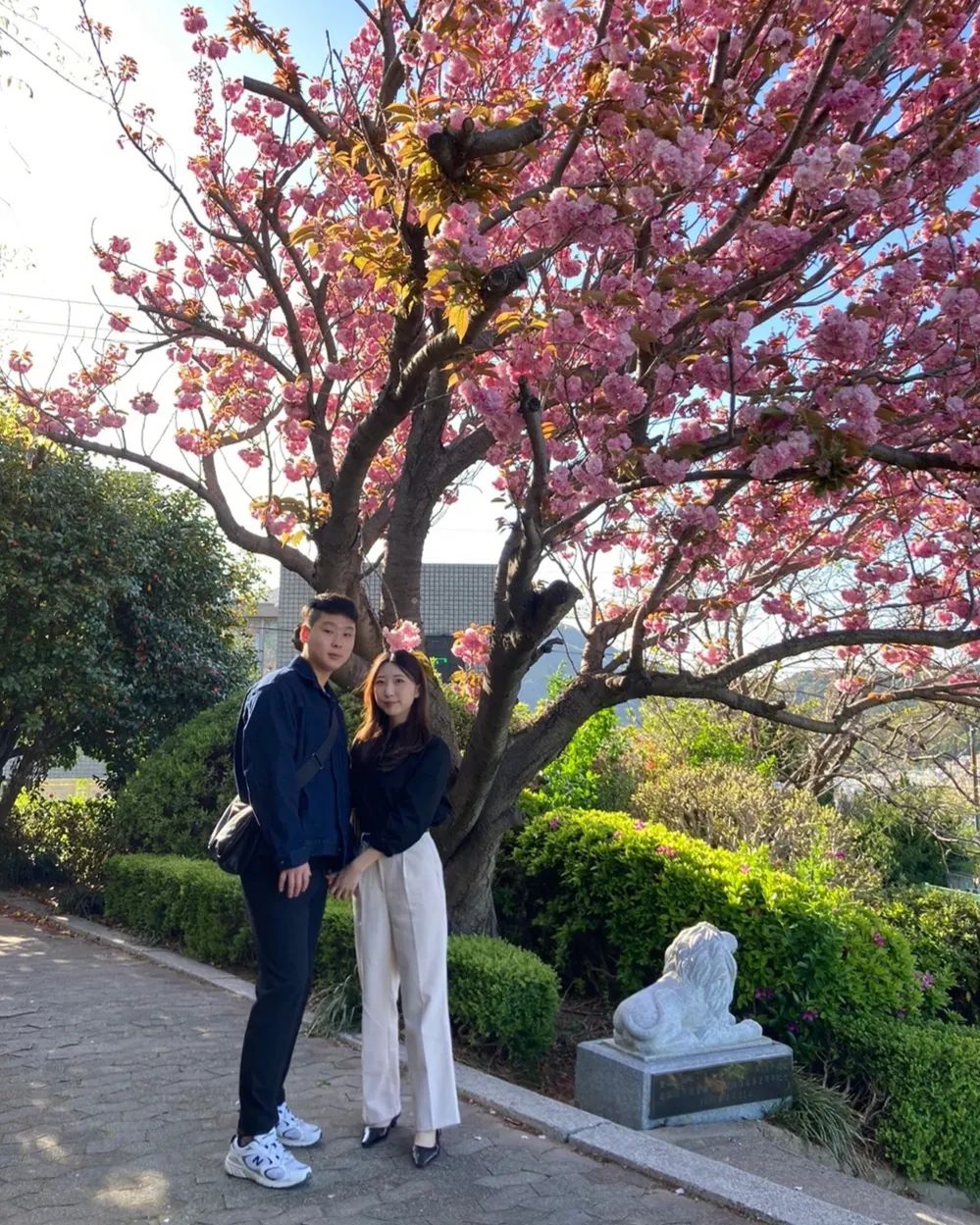 꽃구경(사람구경)하고온 12주년🌸🩷