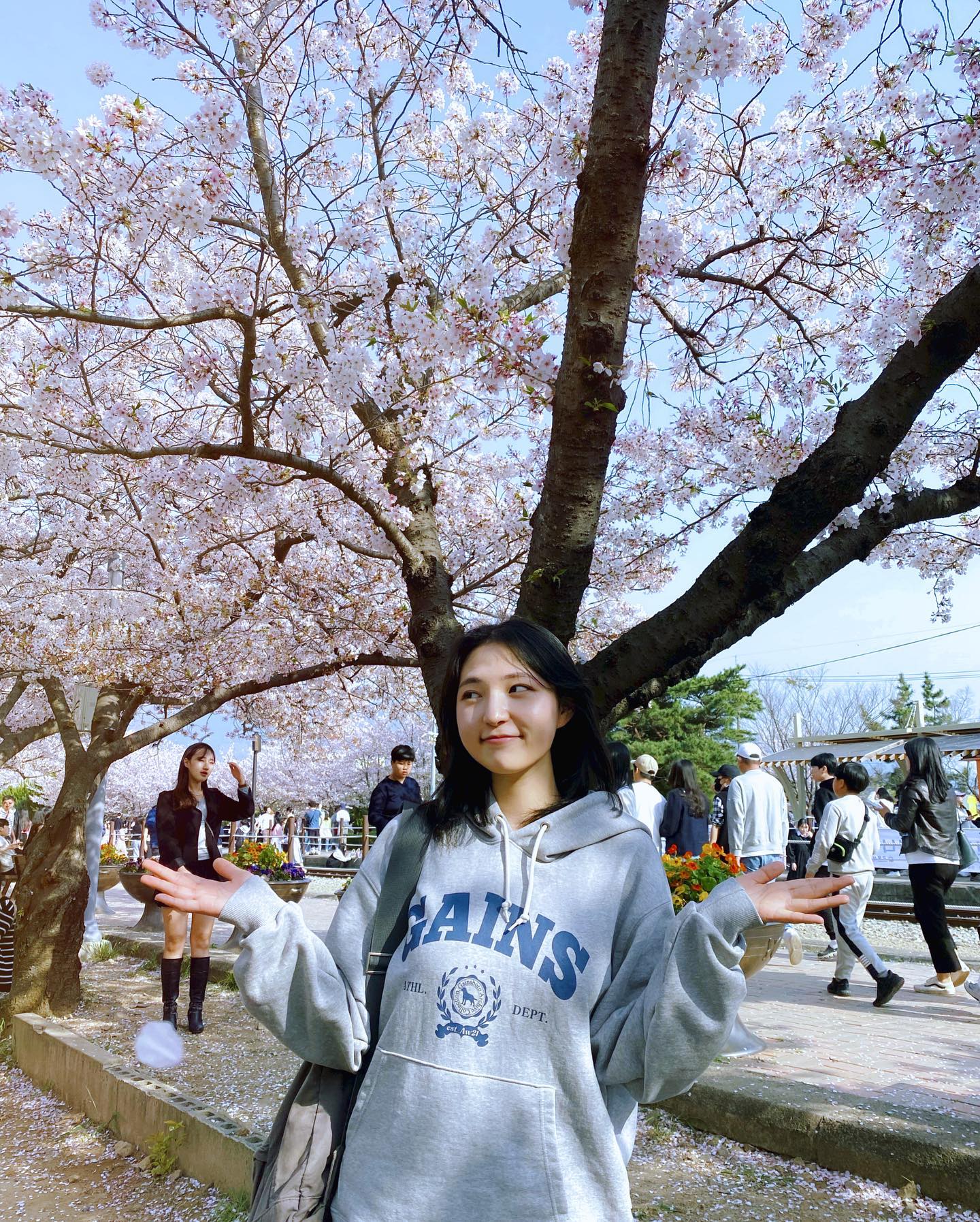 첫 벚꽃.