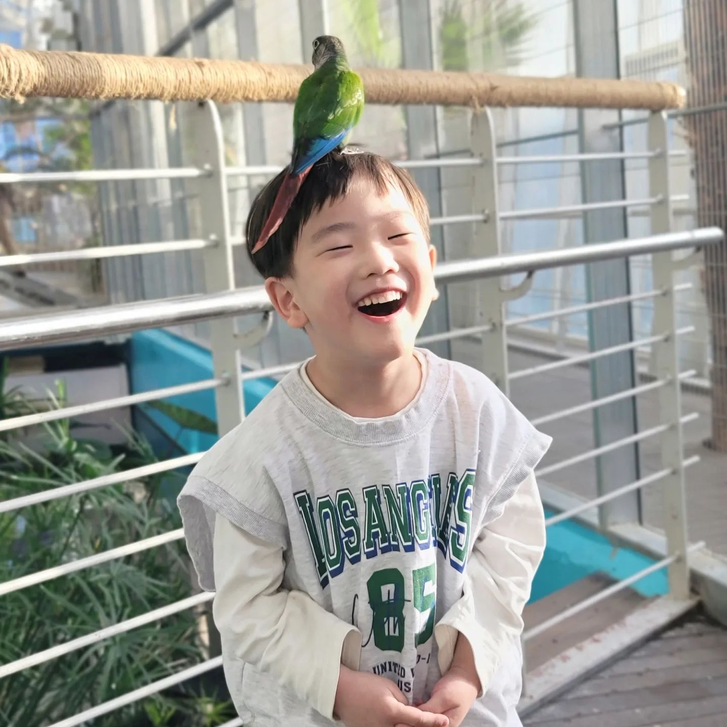 너어무나 좋아했던 사진맛집
앵무새들이 올라와 주고 먹이도 주니
너무나 행복해했다
엄마는 조금 무섭더라....

웃는 얼굴 너무 ㄱㅇㅇ❤️

#오산아이랑가볼만한곳 #오산버드파크
#버드파크 #여기간식도맛있음