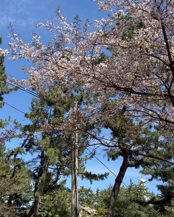 콘텐츠