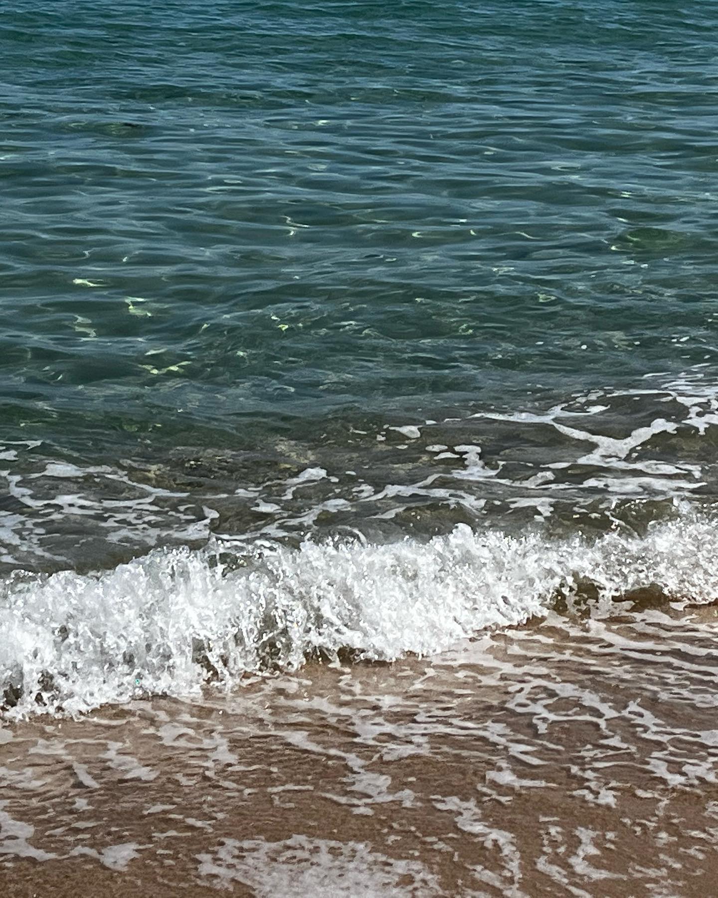 .
오랜만🌊