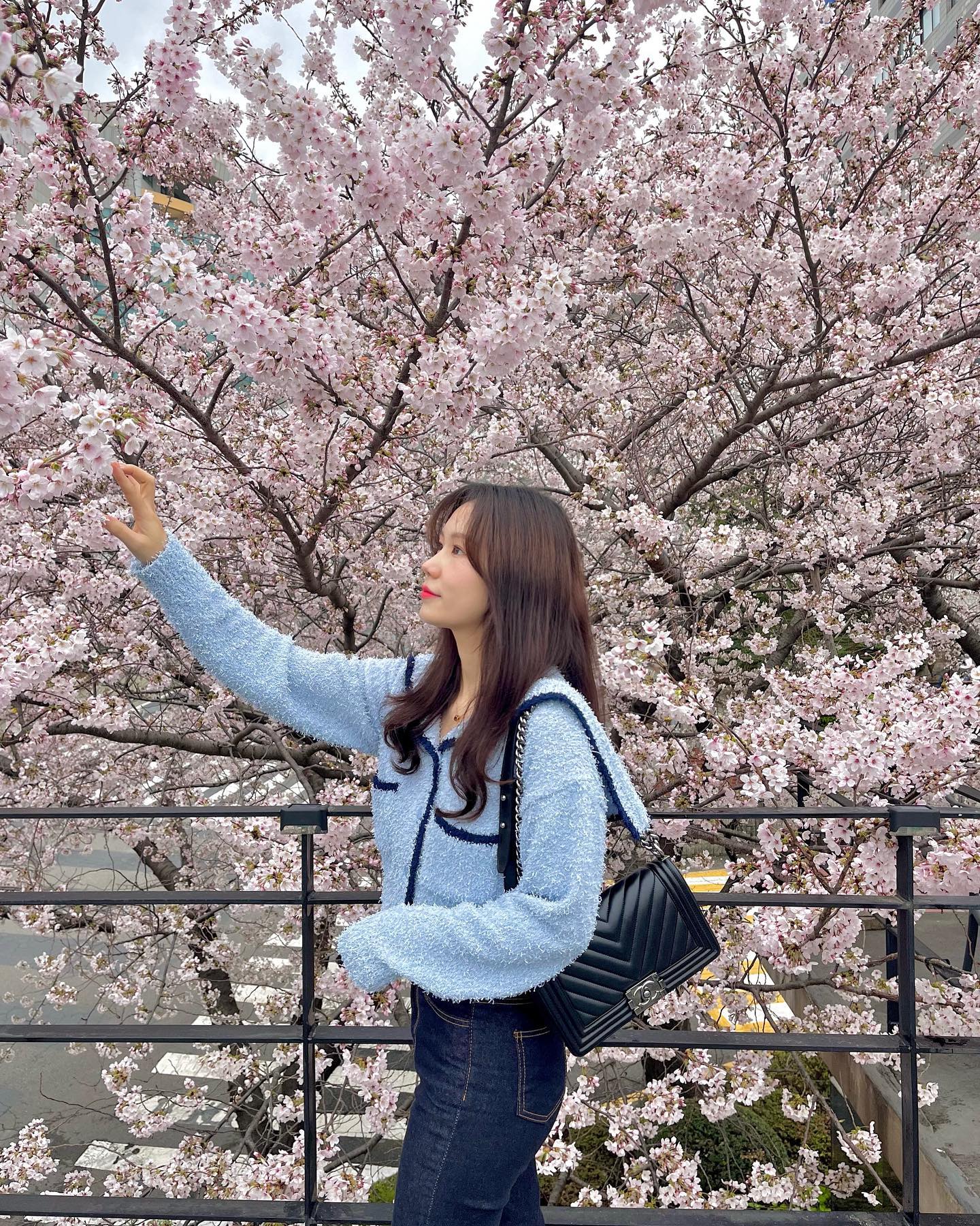 이번 벚꽃은 유난히 더 짧았던 것 같넹
일 안하고 놀러만 다니거 싶다
지겨운 사회생활,,🙃