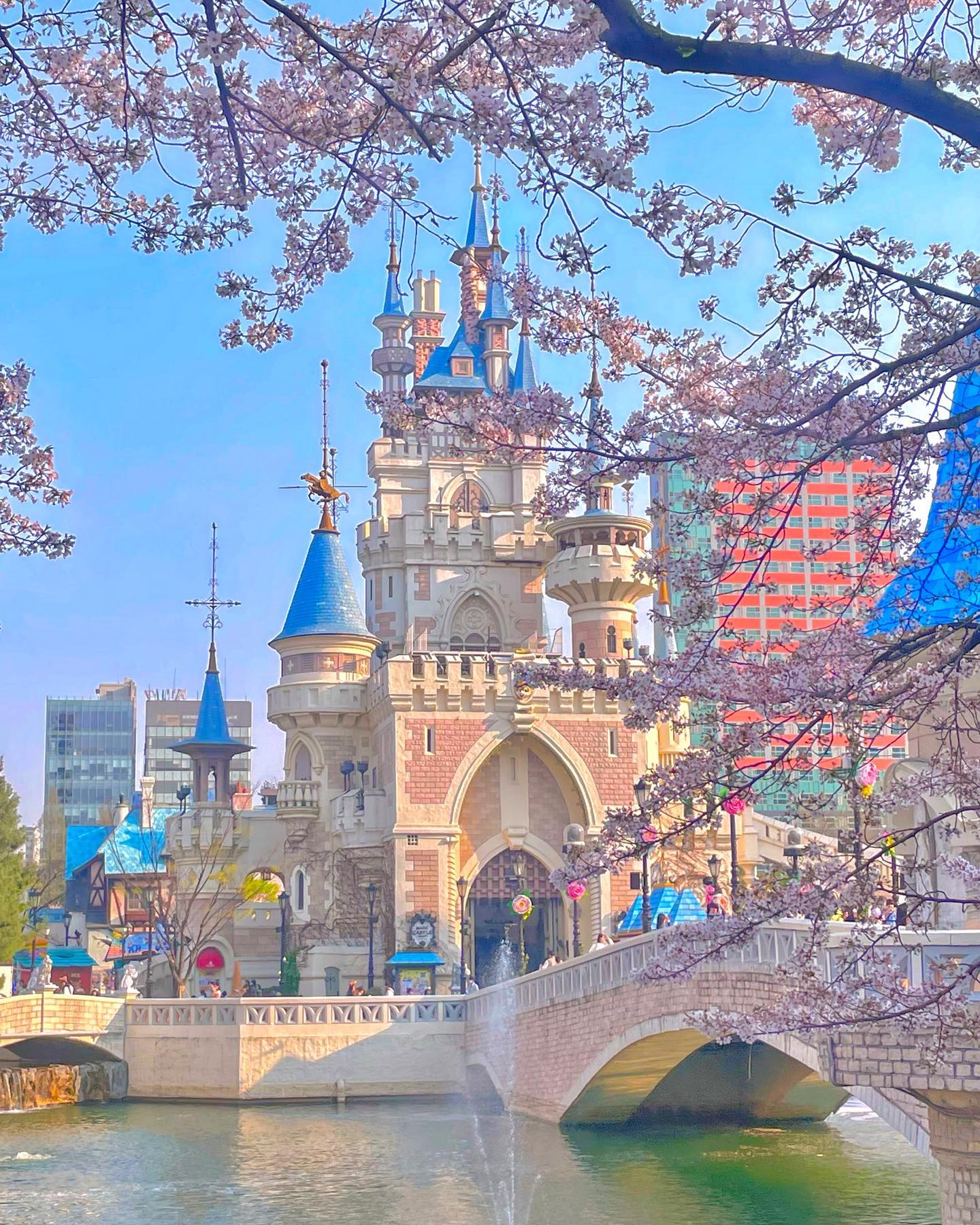 🌸✨