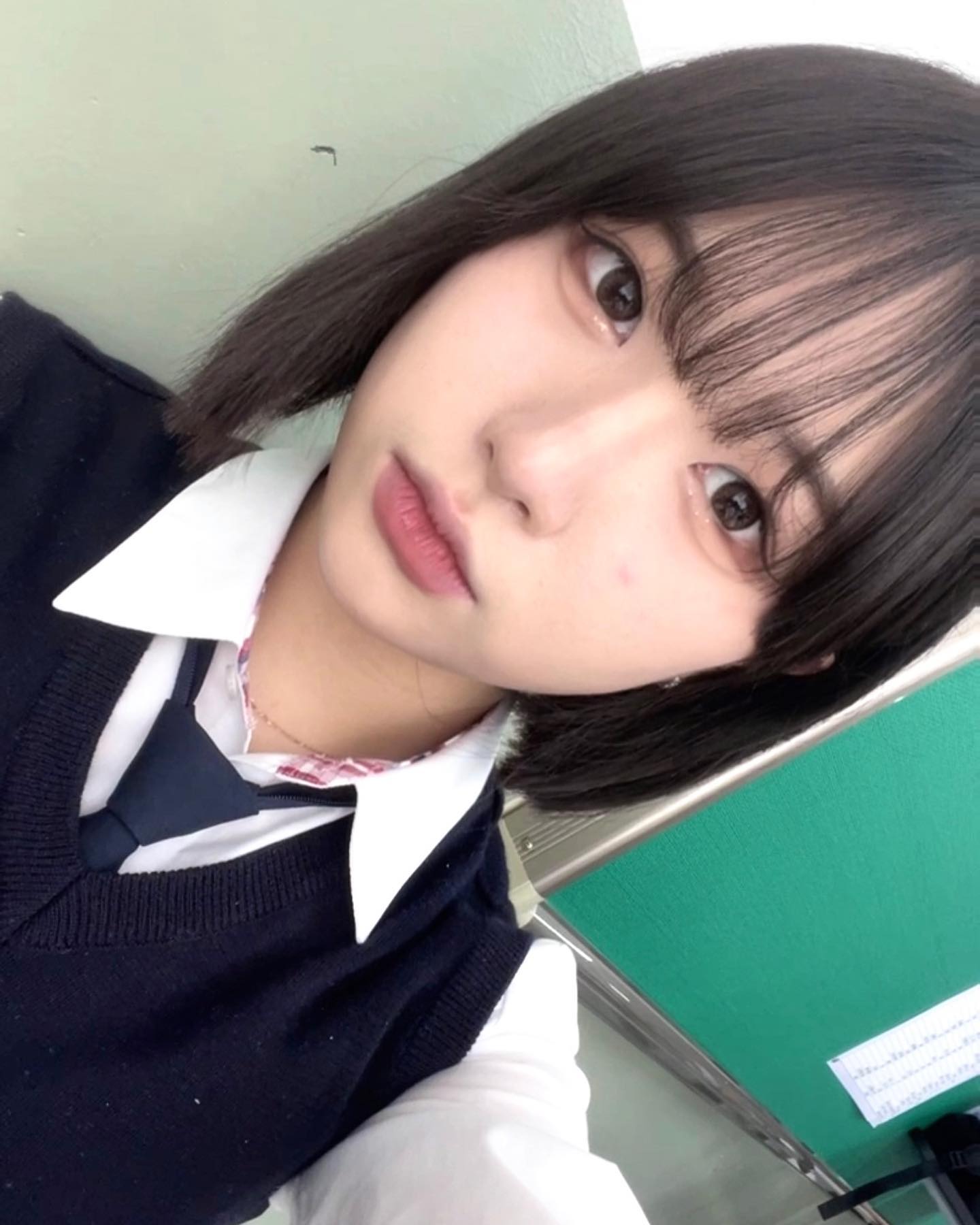 나도 고양이 할래