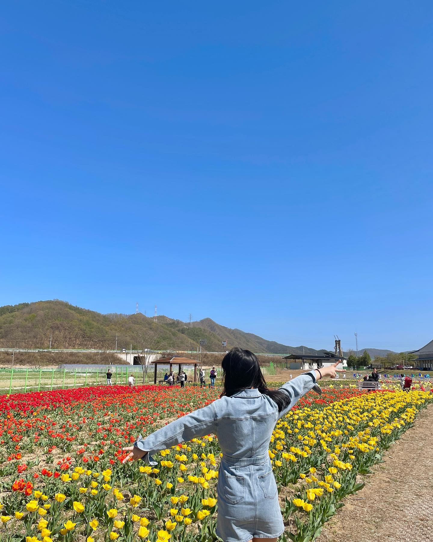 🌷안동에서 즐기는 알록달록 튤립 맛집 🌹

아직 덜 알려진 곳으로 인파에 안치이고 즐기고 올 수 있어요❗
️5만 송이 규모의 튤립들이 아기자기 펴있어서 산책하기 good👍🏻

포전시관과 교육관을 물론 축제기간으로 플리마켓까지 운영중으로 아이들 데려오기도 좋아요💓
곳곳에 숨겨진 포토존을 찾아서 찍는것도 추천📷

안동에서 벚꽃이 져서 아쉬운분들 방문 어떠세요〰️⁉️

📍#안동포타운 #튤립축제 
✔️ 경북 안동시 임하면 금소길 341-12
✔️ 주차 : ⭕️ (무료)
✔️ 입장료 : ❌ (무료)
✔️ 축제기간 : 4/15 ~ 4/16일 10~17시

방문일자 23.04.09 기준으로 이번주 방문시 더욱 만개한 꽃을 즐길 수 있습니다 🌹🌷
