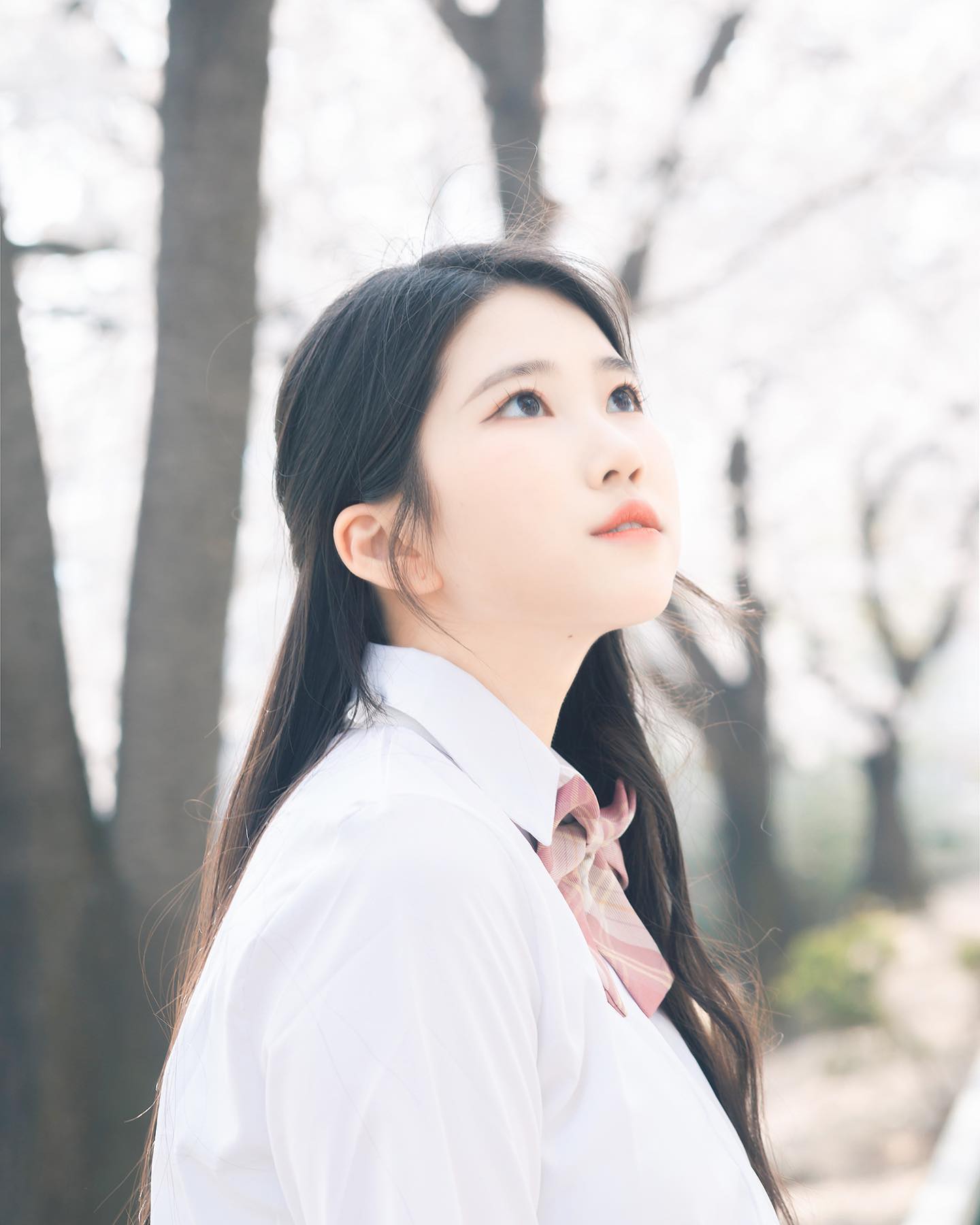 따뜻한 봄날, 고등학교때로 돌아가고 싶다. 🌸