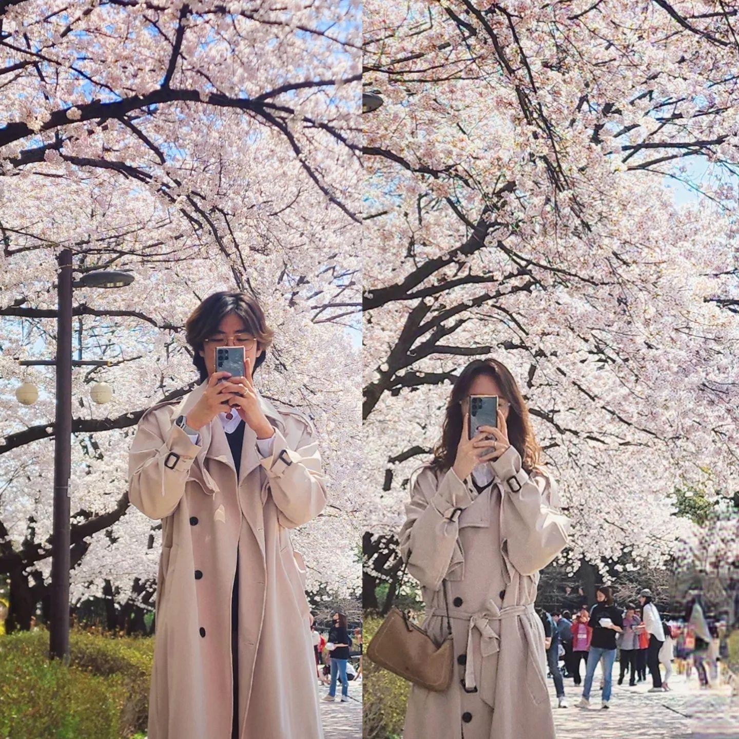 #뿡빵그램 #벚꽃 #1년전 #🌸 

드디어 불금이 돌아왔네요🔥🔥
모두들 이번 한 주도 잘보내셨나요???

저희는 요즘 너무 바쁜시기라 내일도 주말 하루를 반납하고 출근을 해야해서 불금을 제대로 못즐기고 있답니다...ㅎㅎ

이번에 가지고 온 사진은 작년 벚꽃시즌때 찍었던 사진과 똑같은 장소에서 다시 찍은 사진을 같이 가지고와봤어요🫶🏻🫶🏻

벌써 벚꽃을 7번째 같이 보는데 벚꽃은 매년 볼때마다 설레는 것 같아요🌸💗

벚꽃는 원래도 예쁘지만 옆에서 같이 사진찍어주는 제 짝꿍이 있어줘서 더 예쁘게 보인달까요??ㅎㅎ

이번 한 주도 고생많으셨습니다꒰◍︎⍢︎◍︎꒱۶ 행복한 주말보내세요🫶🏻