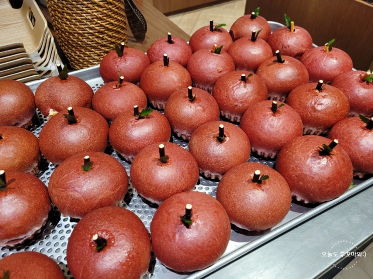 대구빵 맛집 대구신세계백화점 팝업스토어 수형당 능금빵 한국식치즈케이크 후기