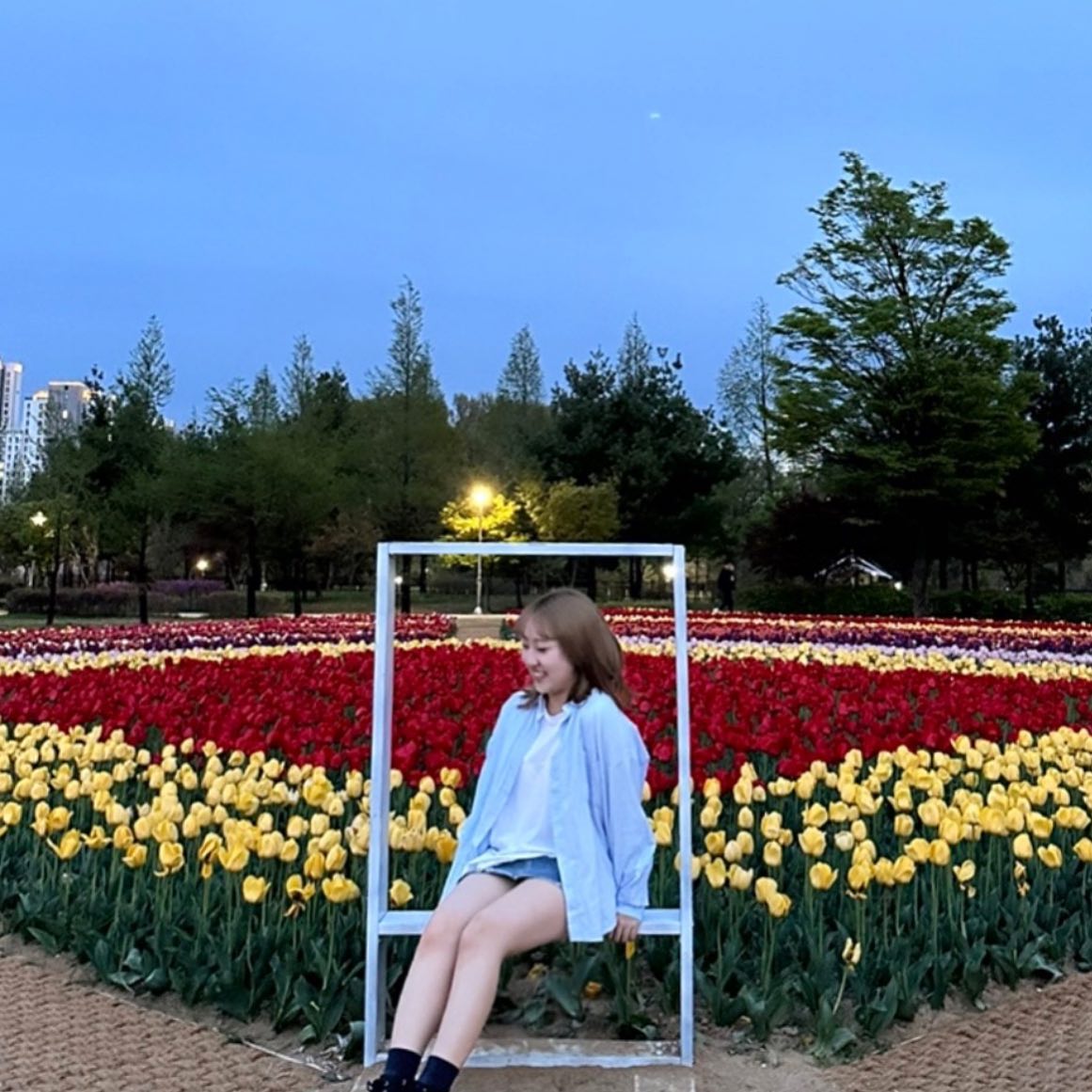 🌷