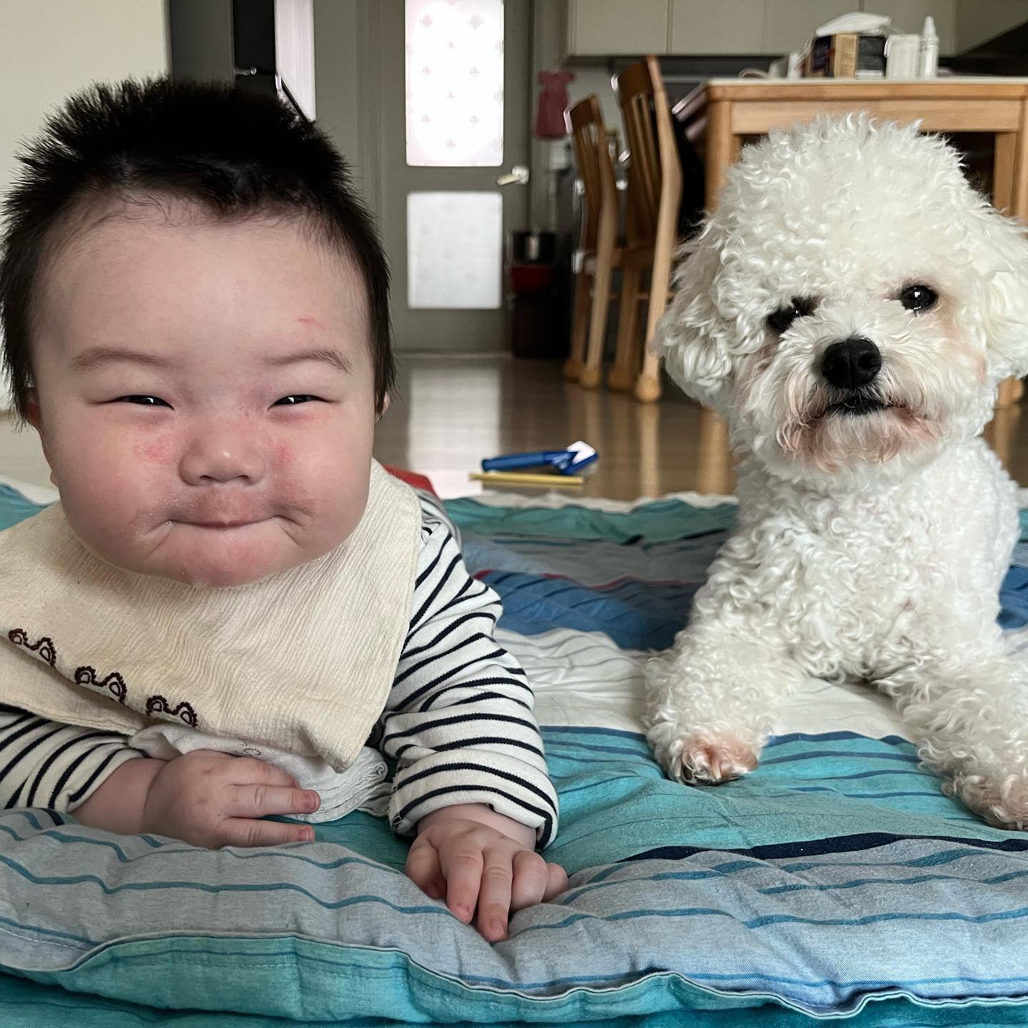 오늘도 사이좋게