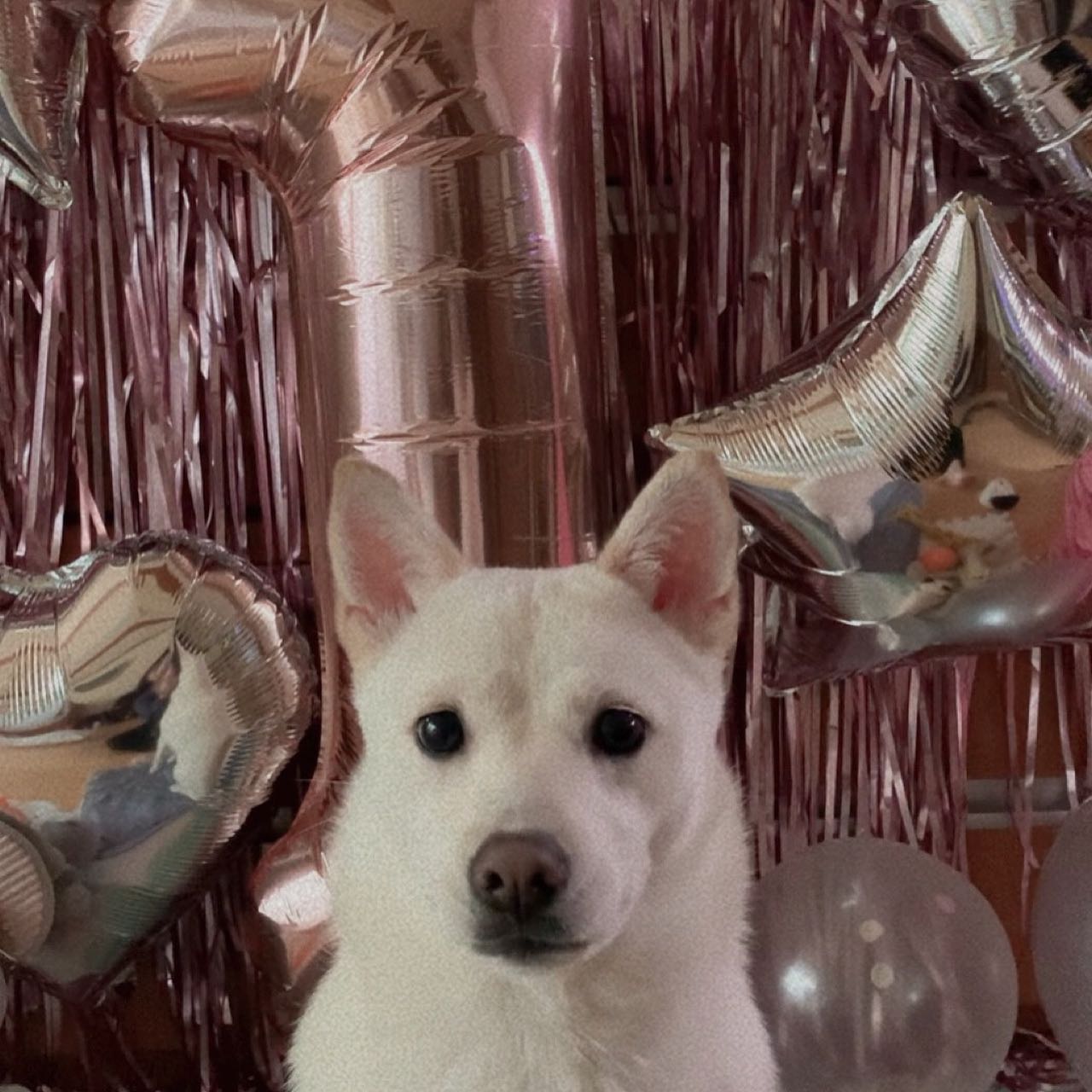 🎂하릅 율🎂

생일축하해 딸🥳