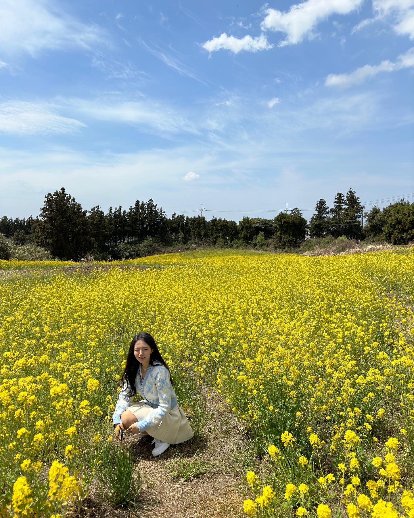 가는 곳마다 유채꽃 가득🌼 벚꽃 가득!!🌸
심지어 고기집 앞 노을+벚꽃 조합도 최고였당
오랜만에 간 카멜리아힐도 좋았다🌺

#20230331 #제주도