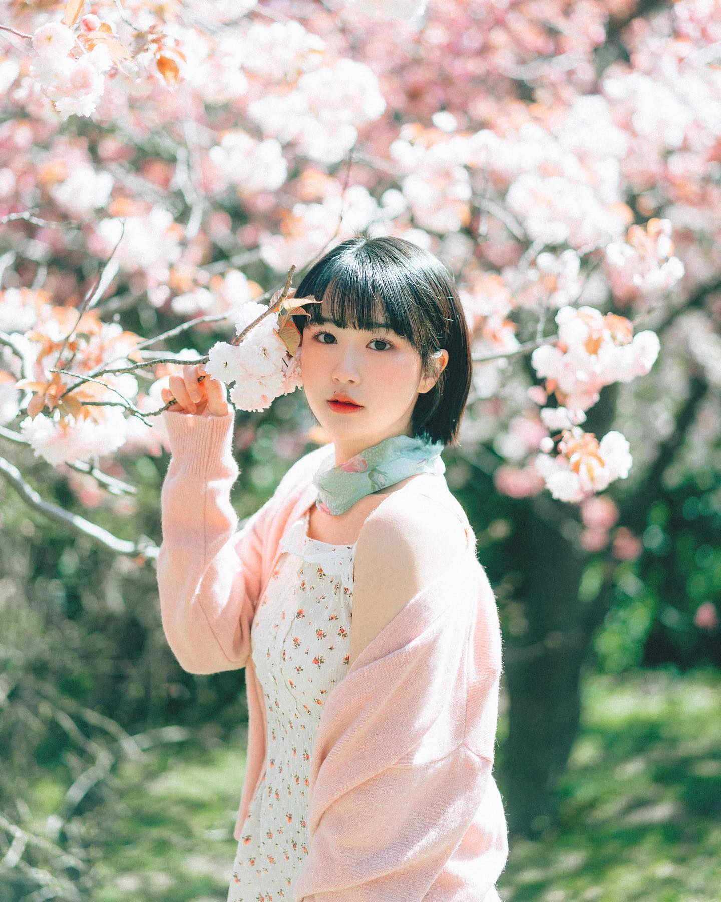 🌸🌸(겹벚꽃)
.
.
.

계속 사진이 오류로 같은 사진 중복돼서 올라가서 3트