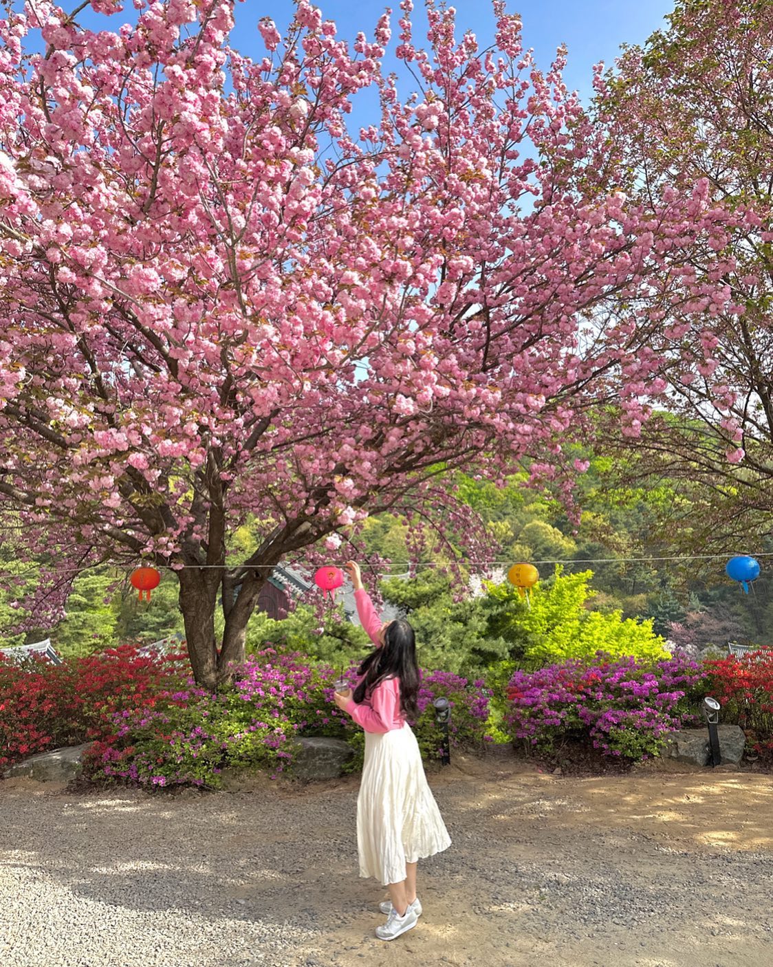 매년 봄에 찾아올 곳🫶🏻