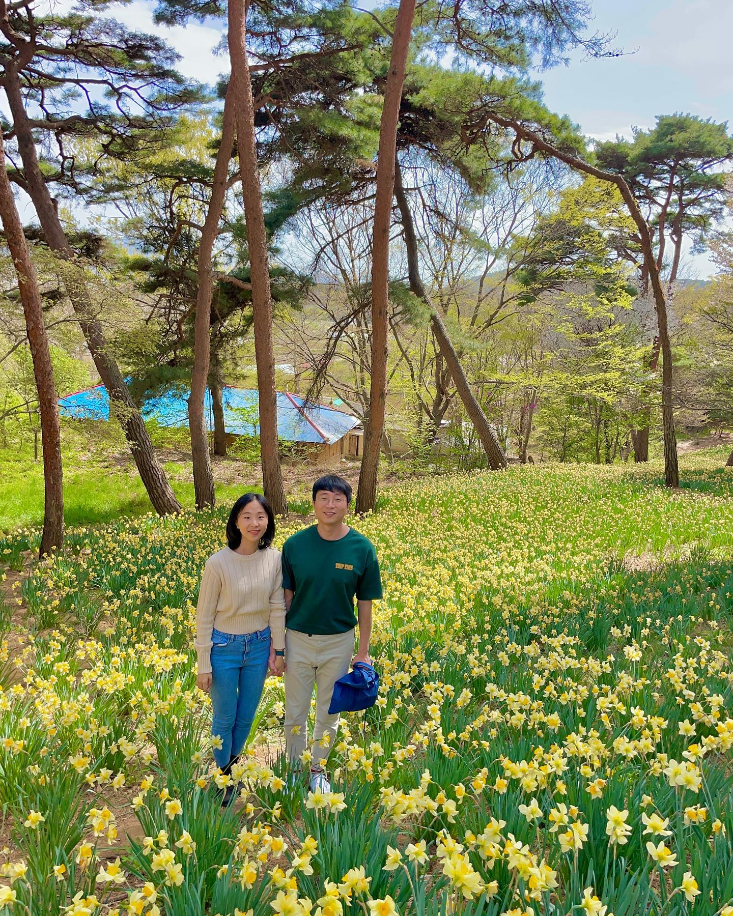 서산에 한번쯤 가야지했던
유기방 가옥 수선화🌼
생각보다 많이 졌지만 
.
📍유기방가옥
📆‘23.04.14
💰8천원/인
🌼수선화는 한 70%정도는 진것 같다
4월말까지 축제 기간이라던데..
살짝 돈이 아까울수 있음🤔
3월말이 딱 오기 좋을듯!
.
#서산여행 #서산수선화 #수선화 #유기방가옥 #유기방가옥수선화 #4월여행 #rg커플추천여행지
