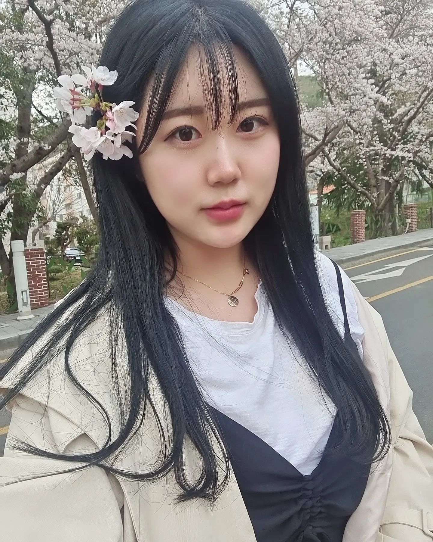 🌸🩷
.
.
.
.
.
.
#사시미 #창원 #통영 #벚꽃 #여행 #통영여행