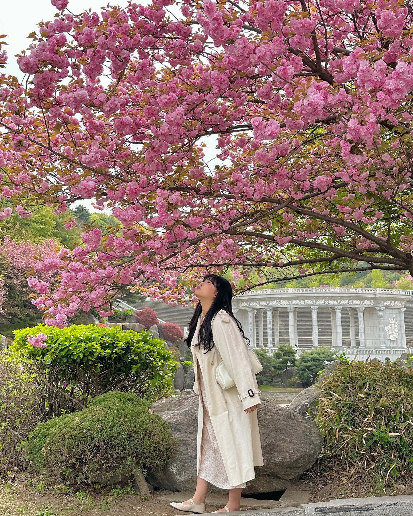 겹벚꽃 인생샷 건지고 와따💗🌸

타이밍 놓쳐서 못 올렸던 벚꽃까지--!