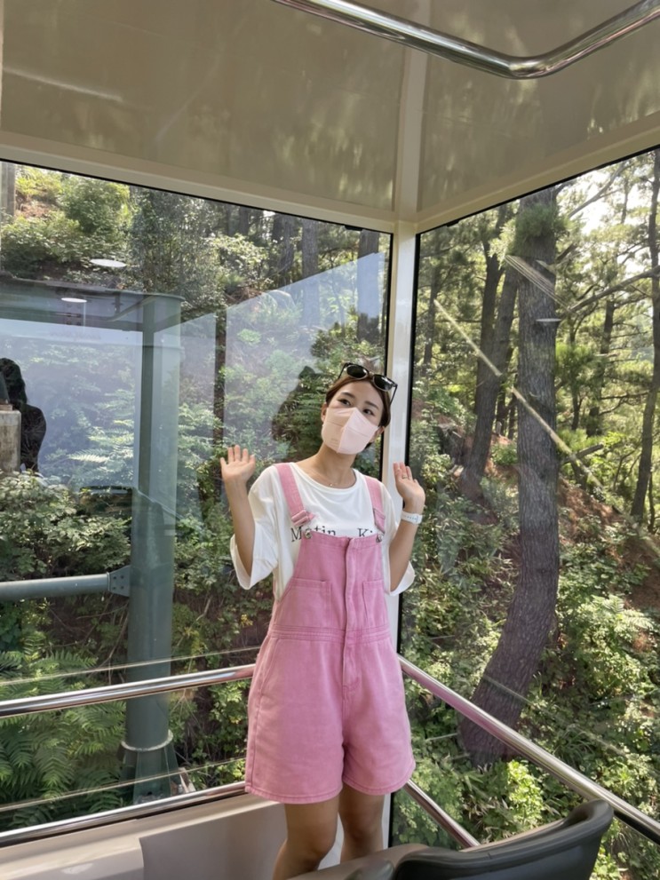 울릉도여행 가볼만한곳 ::  태하향목관광모노레일/전망대 (50%할인방법)