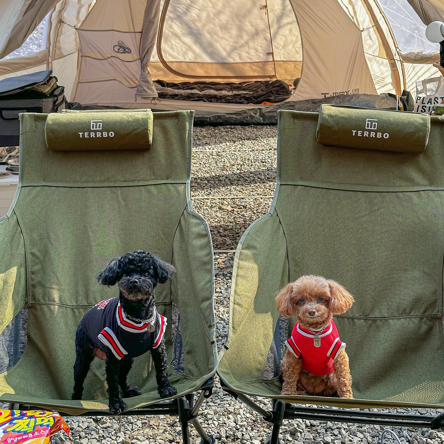 이제야 올리는 #캠핑기록 ⛺,, 콩별이 생각해서 큰 텐트로 바꿨으니 올해 우리 쪼꼬미들이랑 몽샤랑 더 열심히 다녀야짓 🔥

#캠핑 #캠린이 #캠핑초보 #캠핑에빠지다 #캠핑스타그램 #캠핑그램 #애견동반캠핑 #콩이 #별이 #에어텐트 #캠퍼 #캠퍼소통 #제드 #제드코리아 #티맥스ex에어 #일상그램 #데일리그램 #좋아요 #좋아요반사 #소통해요