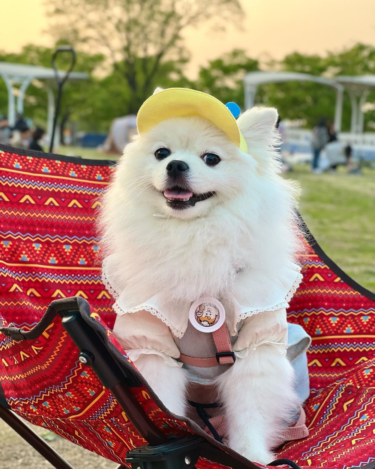 살구 데뷔하자