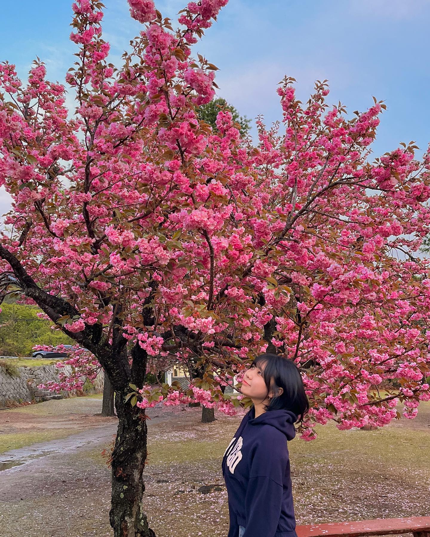 ✧⁺⸜(･ ᗜ ･ )⸝⁺✧🌸✨