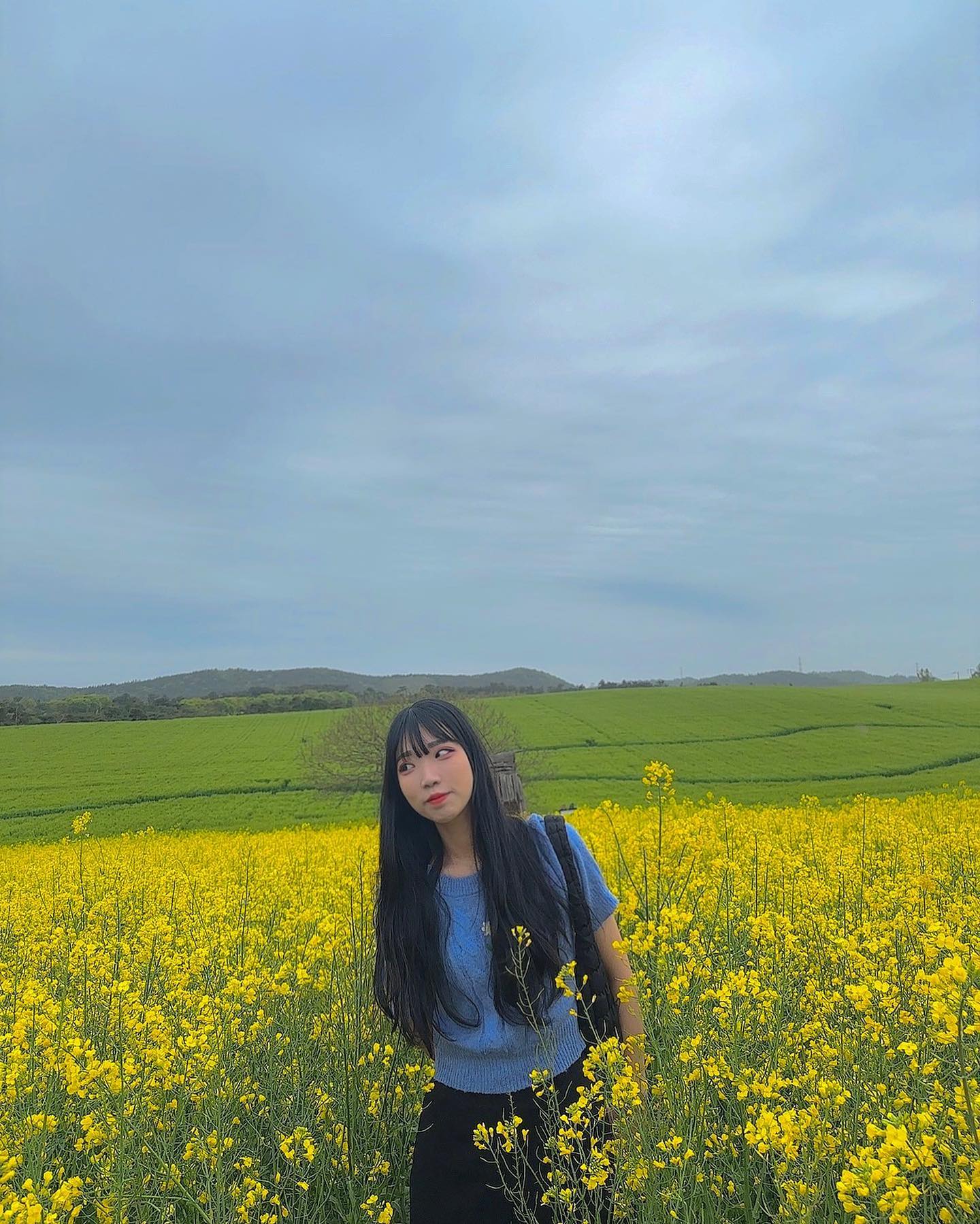 꽃구경🌼
.
.
.
.
#주말#꽃구경#유채꽃#고창#드라이브
#학원농장#청보리밭#콧바람쐬러#🌼
#맞팔#선팔하면맞팔#일상#소통#친구
#좋아요#인친#집사환영#냥스타그램
#직딩#월요일#헬요일#f4f#daily