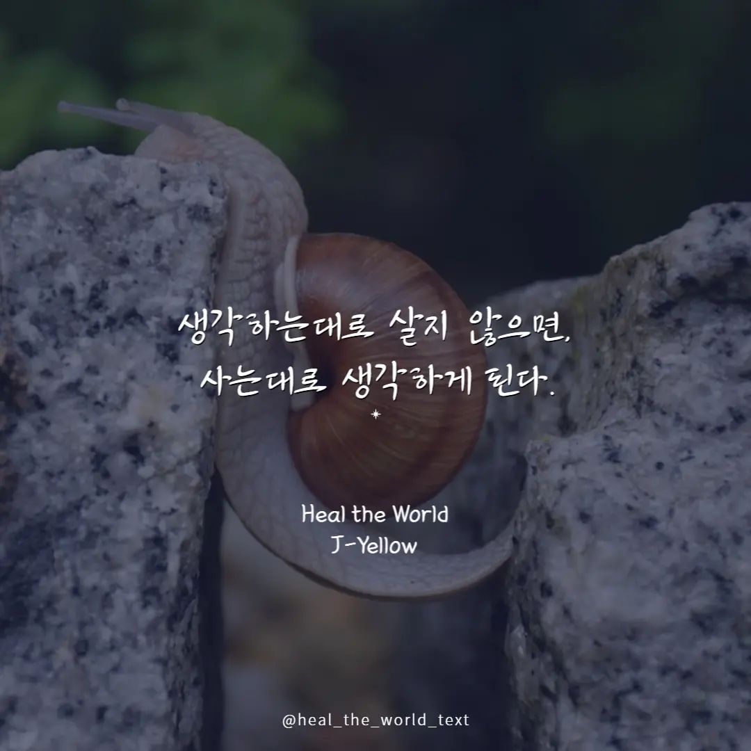 말이 무서운 이유는
긍정적인 말 뿐 아니라
부정적인 말도 그대로 되기 때문이다

우리의 뇌는 생각보다 단순해서
내가 한 말조차도 외부 자극으로 인식하고
무의식적으로 그 말대로 행동한다고 한다

그렇다면 우리의 뇌를 속여보자

사는대로 생각한다면
그저 하루하루를 살아내기에 급급하겠지만

생각한대로 살아간다면
매일매일 미션을 클리어하는 
성취지향적 삶을 살게 될 것이다

#좋은말 #좋은생각 #좋은생각 #좋은문구 
#동기부여글귀 #동기부여 #감성글 #감성글귀 
#동기부여명언 #동기부여문장 #에세이 
#에세이스타그램 #에세이그램 #씀 #브런치 
#짧은글귀 #짧은명언 #짧은글 #작가지망생