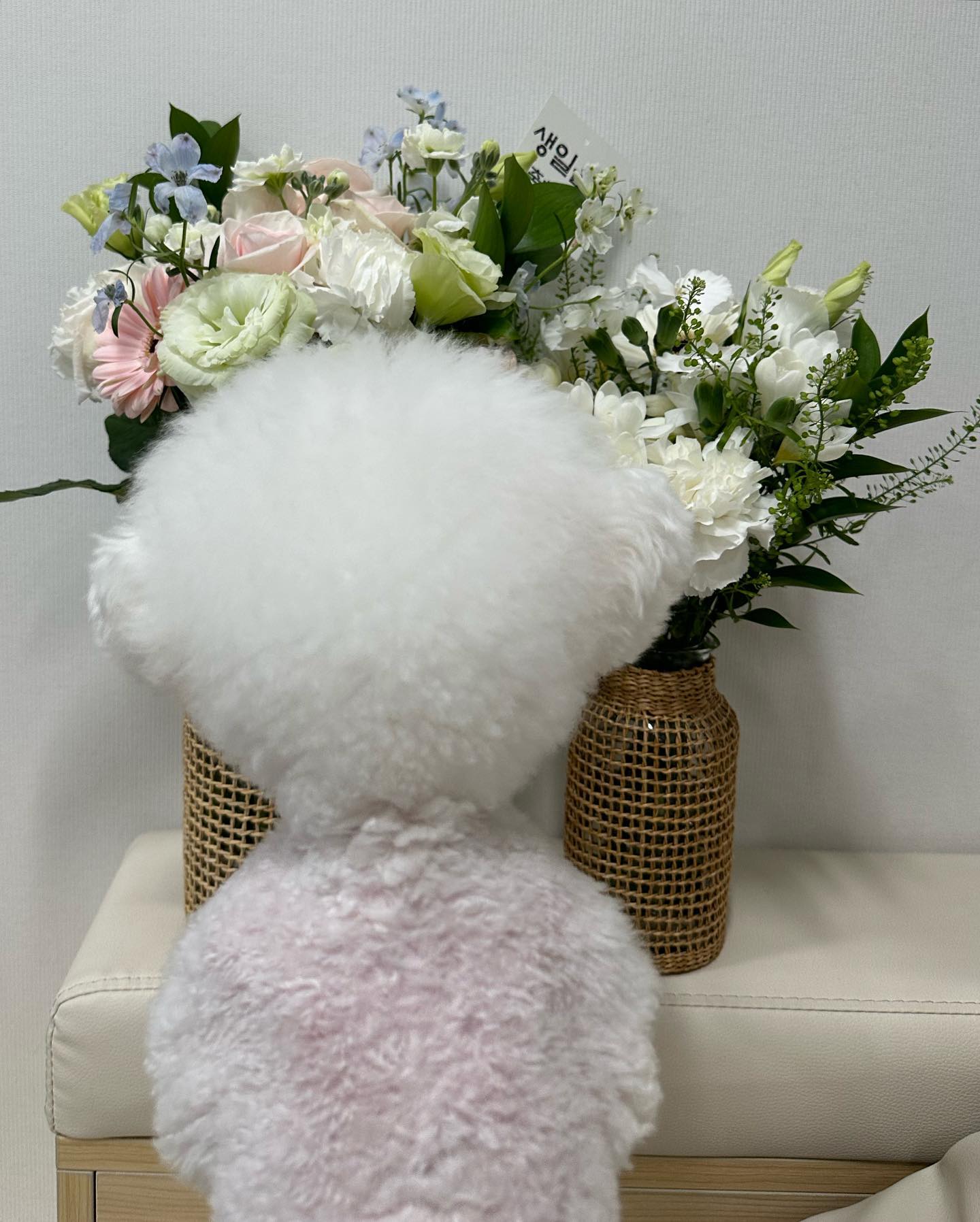 꽃에 관심 많은 뇨자🌸🌼