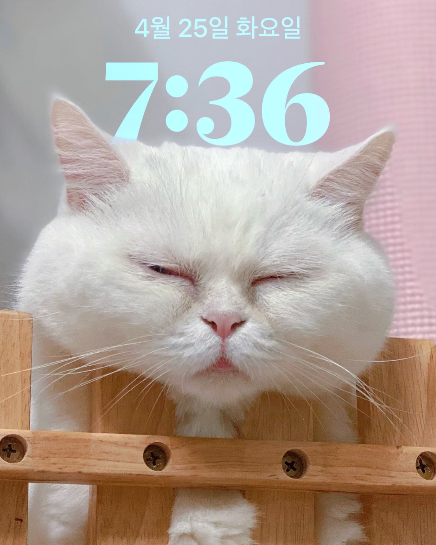 잠금화면 탐나쥬?😗