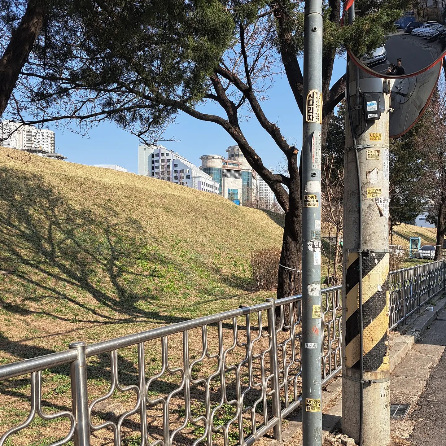 전봇대🐛