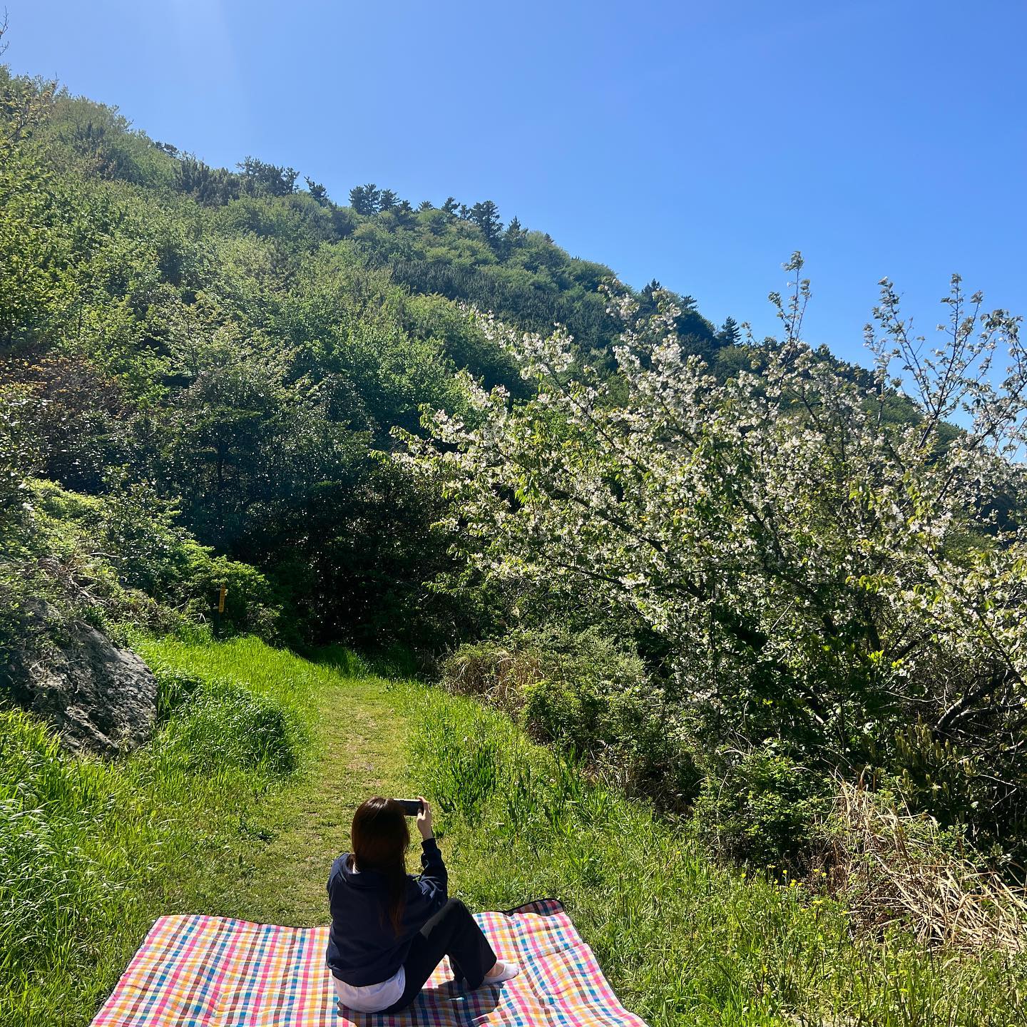 봄이 가기 전, 임시저장 파일 🌸🌱
지금은 비록 사라진 마을이지만, 진짜 예쁨
 
 
/
#jeju #사라진마을 #꼬밀레_제주